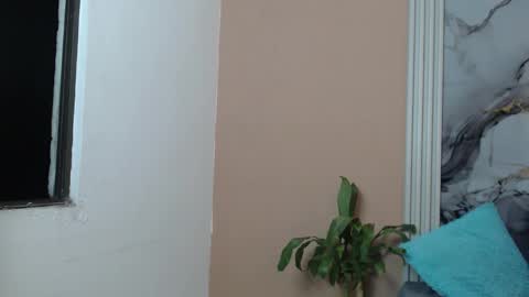 Zhingarher online show from February 1, 1:24 am