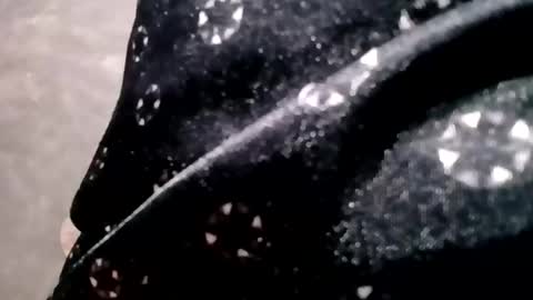 zitojose73 online show from October 19, 12:15 am