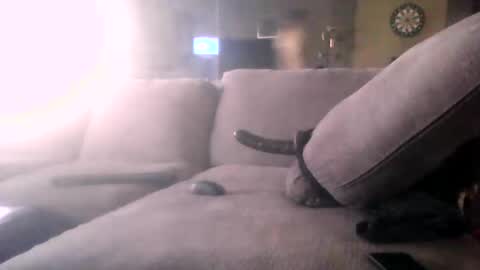 zooroxxx101 online show from March 14, 11:42 pm